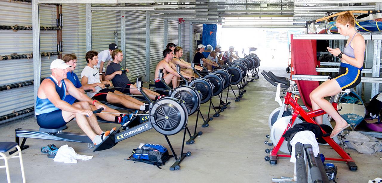 SIRC exercise bike and rowing machines