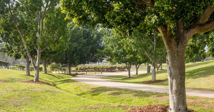 siec-garden-path