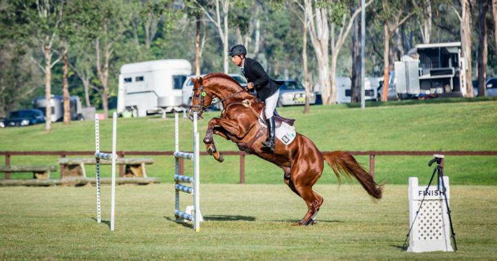 siec_horses_sand_area