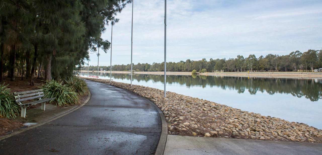 sirc-pathway