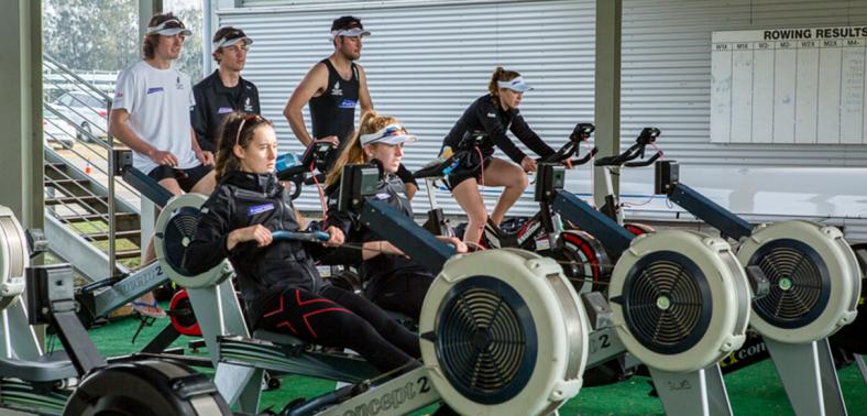 sirc-rowing-machine-athletes